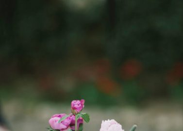 Schloss Mailberg Hochzeit von Claire Morgan Photography und Soda Films Europe