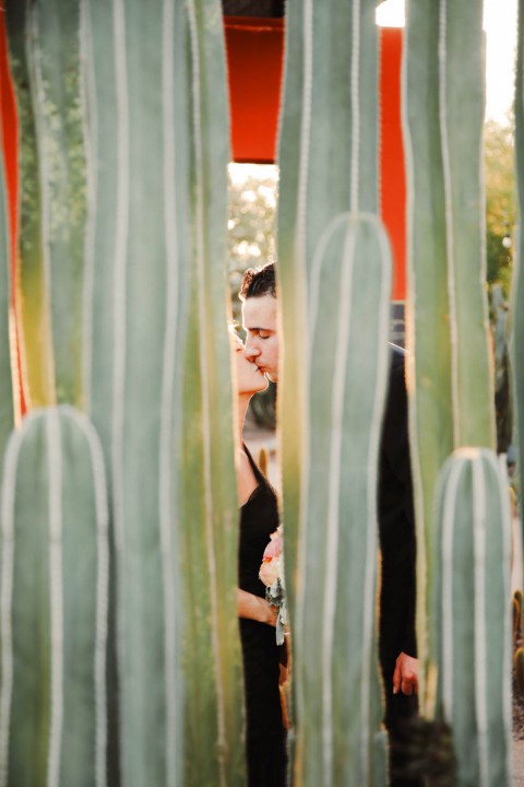First-Look Fotoshoot im Botanischen Garten von Phoenix