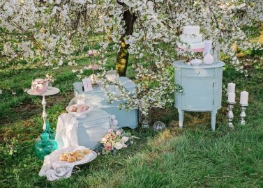 Hochzeitliches Frühlingserwachen in der Kirschblütenplantage Heidenau