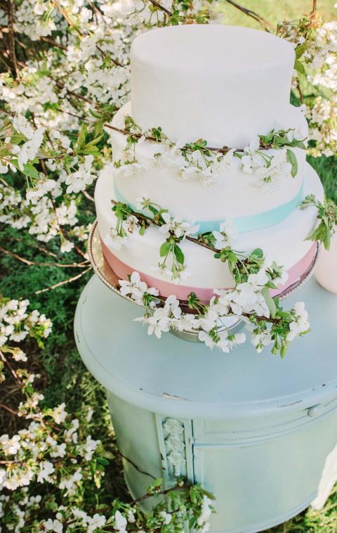 Hochzeitliches Frühlingserwachen in der Kirschblütenplantage Heidenau