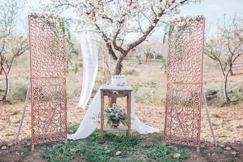 Mandelblüten-Hochzeitsromantik in Andalusien