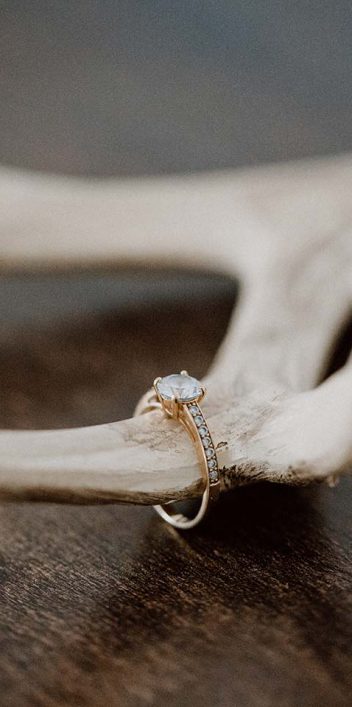 Hochzeitsinspiration: Be wild, be you!