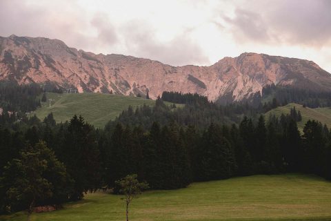 Tamara & Martin: Hochzeit in den Allgäuer Bergen