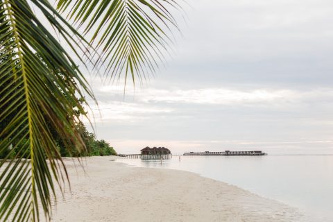 Insel der Herzen: Das Lux* South Ari Atoll