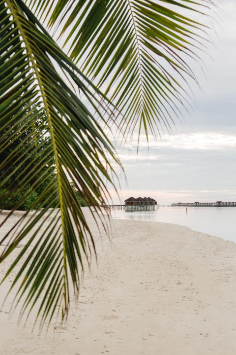 Insel der Herzen: Das Lux* South Ari Atoll
