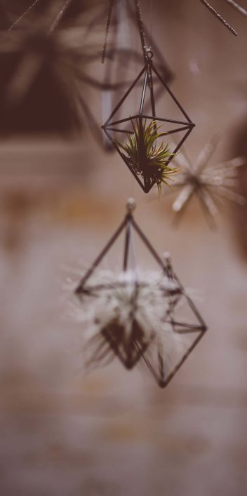 Magische Holographic-Hochzeit im Winter