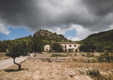 Janelle & Timo: Sommerhochzeit auf Mallorca