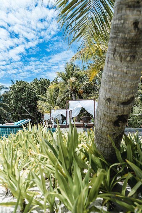 Club Med Finolhu Villas: Nachhaltiger Traum-Luxus-Urlaub