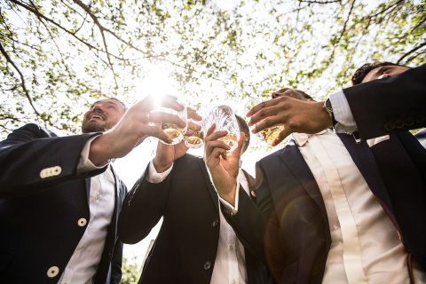 Hochzeitswahn - Eine Gruppe gut gekleideter Personen stößt unter einem sonnenbeschienenen Blätterdach fröhlich mit Champagnergläsern an und feiert einen freudigen Anlass.