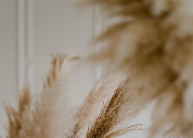 Eine Braut – Drei umwerfende Stylings