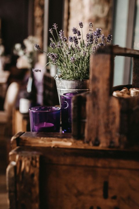 Weingut am Nil: Heiraten wie in der Provence