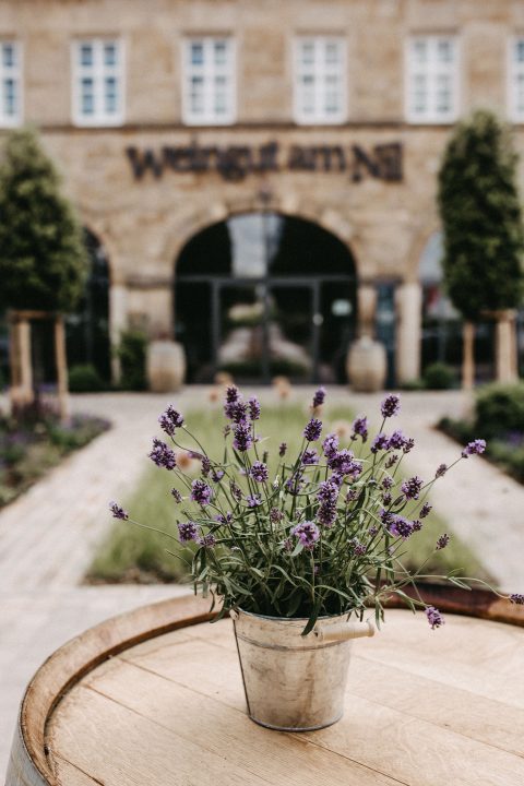 Weingut am Nil: Heiraten wie in der Provence