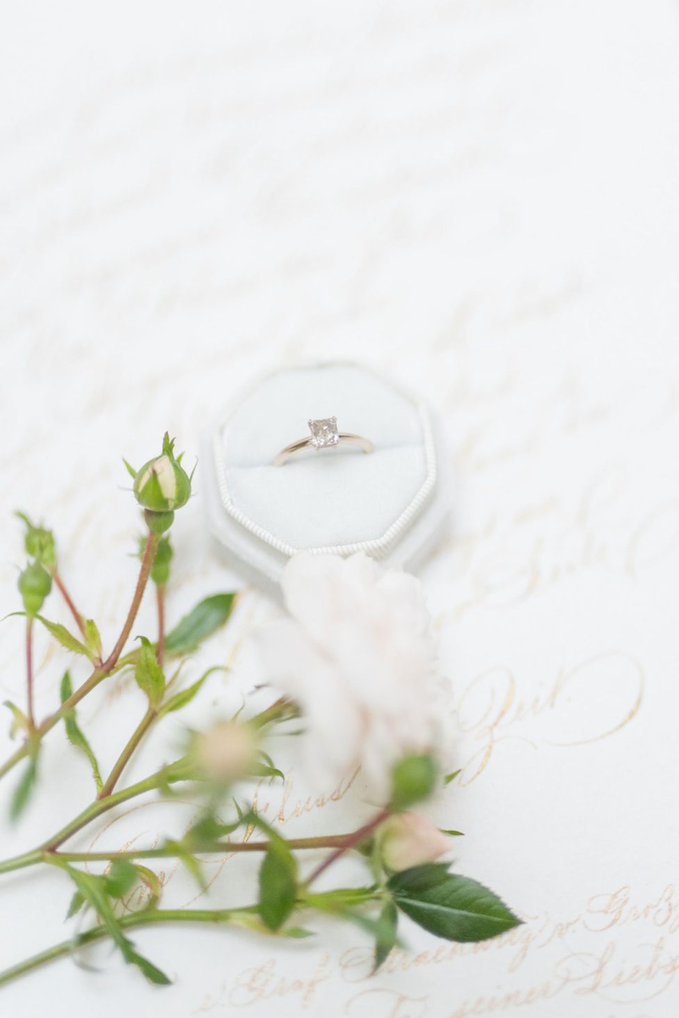 Eine verträumte Hochzeit im Schloss Neuwartenburg