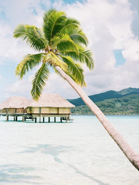 Französisch Polynesien – Ein Inselparadies für unvergesslich, schöne Flitterwochen,